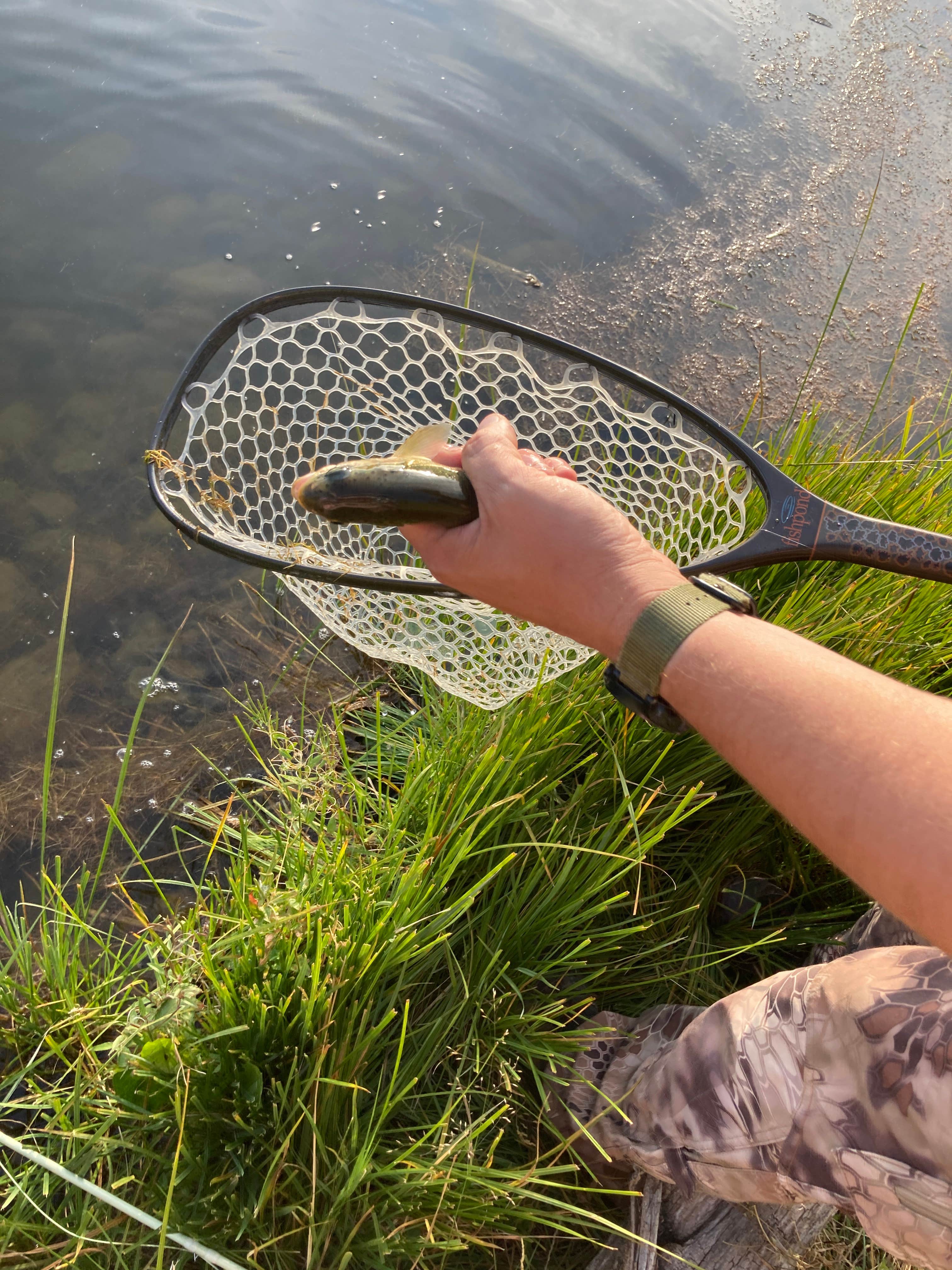 Camping near Cruces Basin Campground: Lower Lagunitas Campground, Chama, New Mexico