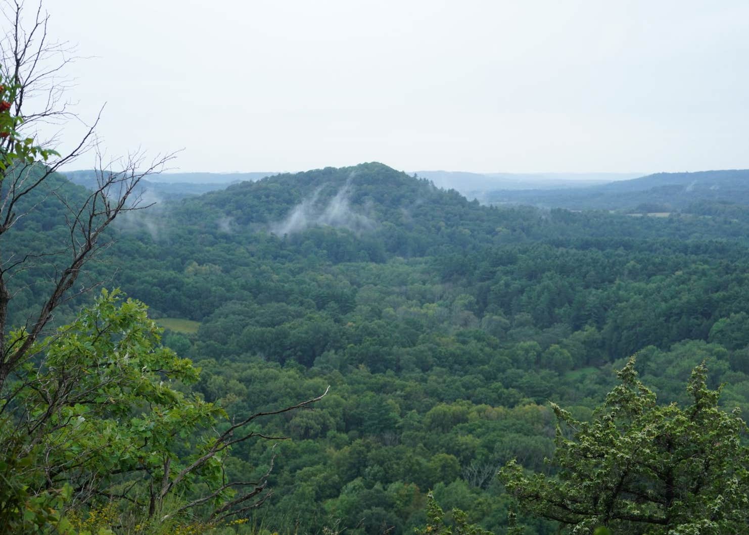 Wildcat Mountain State Park Camping The Dyrt