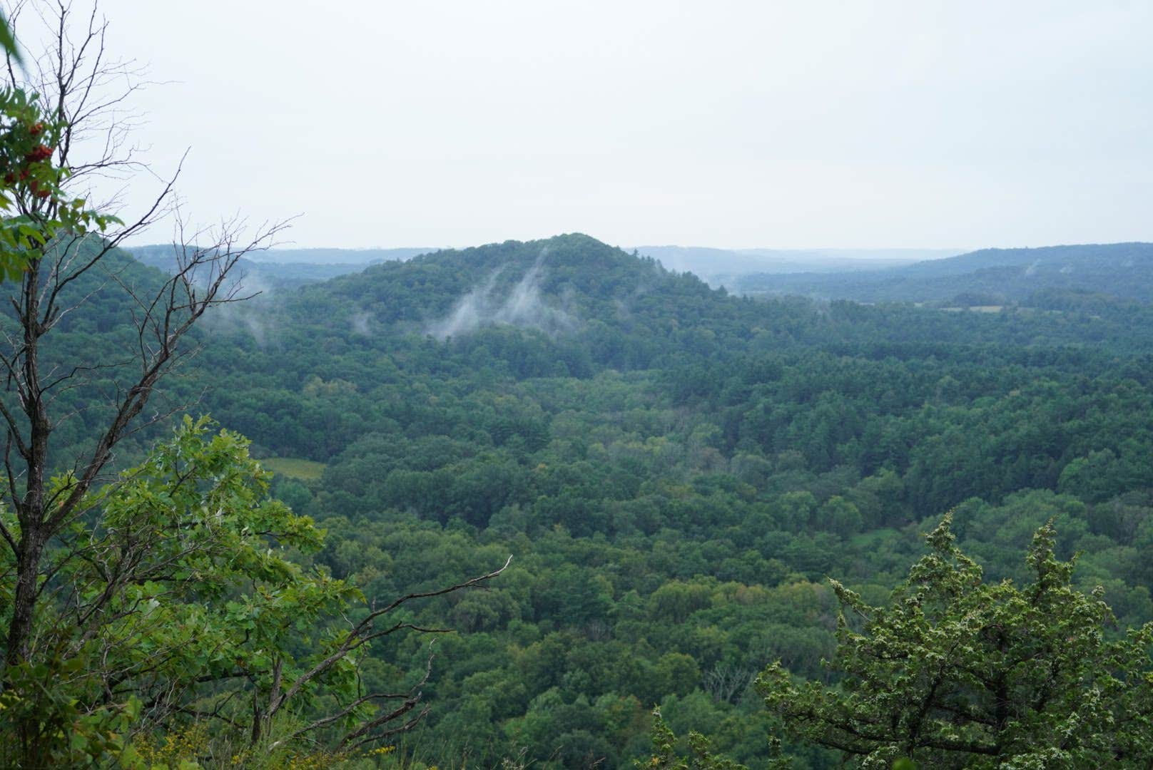 Camper submitted image from Wildcat Mountain State Park Campground - 1