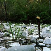 Review photo of Madrone Campground by Shane J., September 7, 2021