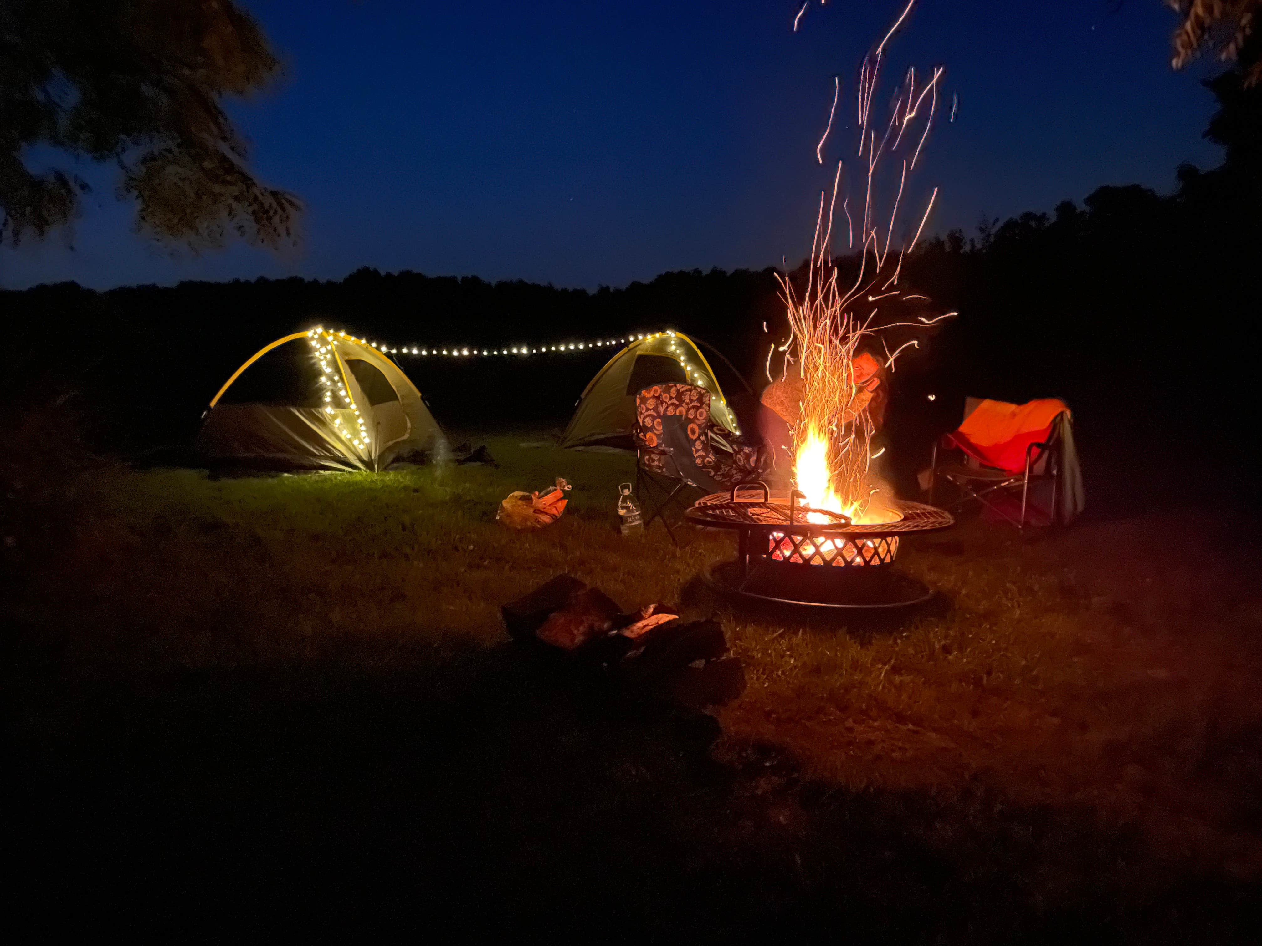 ashley F.'s photo at Heritage Farm Alpaca Experience near Carmel, IN