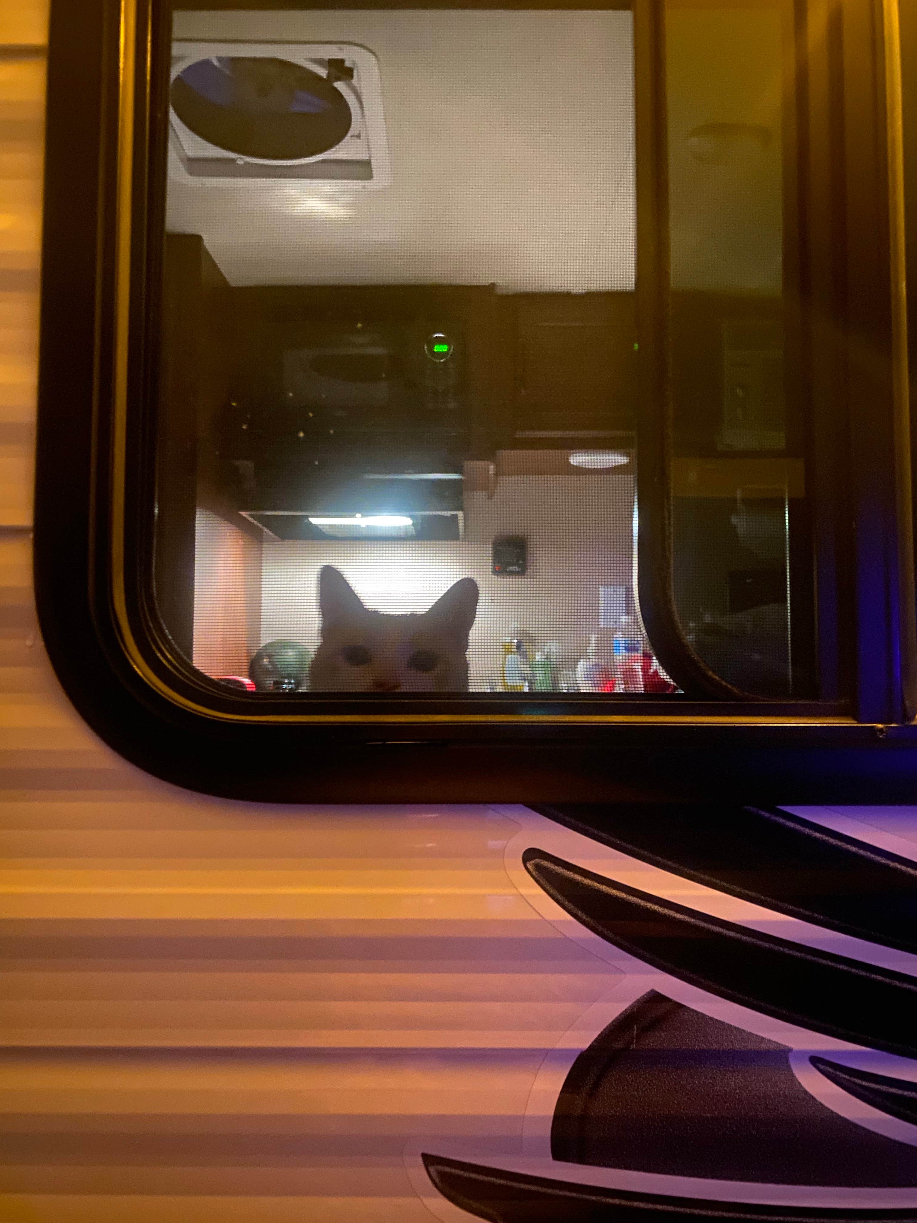 Camper-submitted photo at Timberline Campground near Woodburn, IA