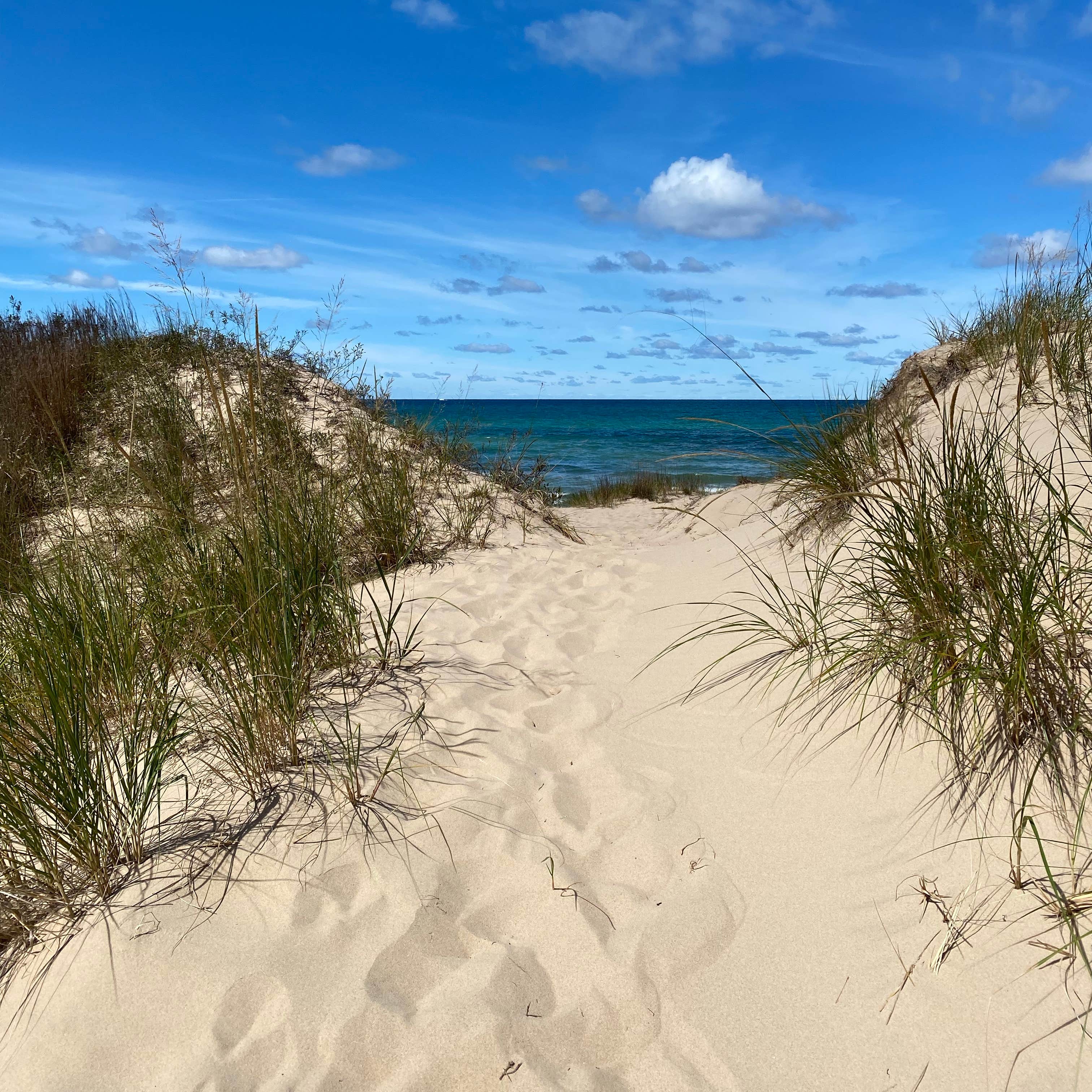 Nordhouse Dunes Wilderness Camping | Manistee, MI