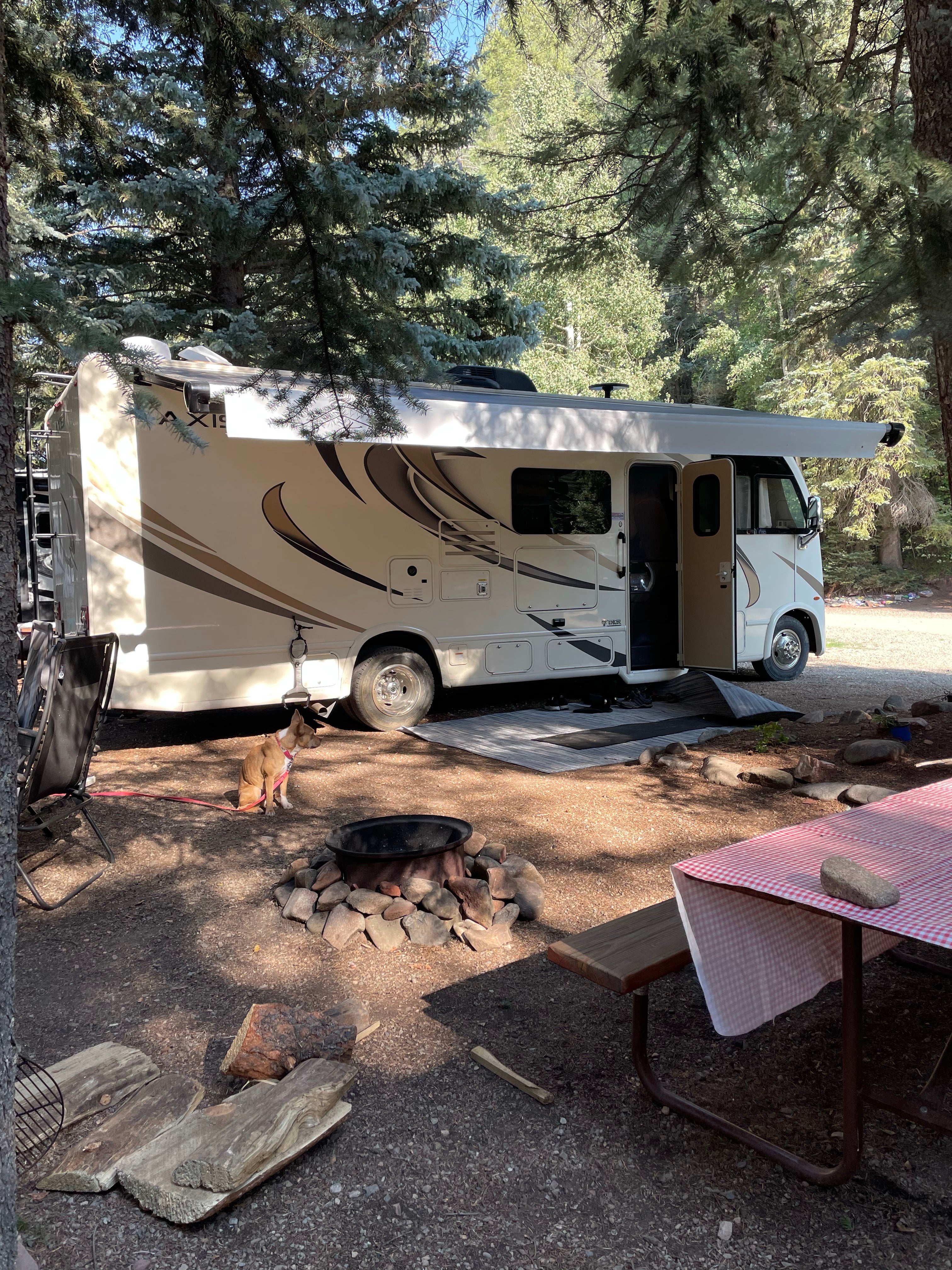 Camper submitted image from Priest Gulch Campground and RV Park Cabins and Lodge - 5