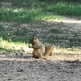 Review photo of Lake Bastrop North Shore Park by Eric-Misty S., June 23, 2018