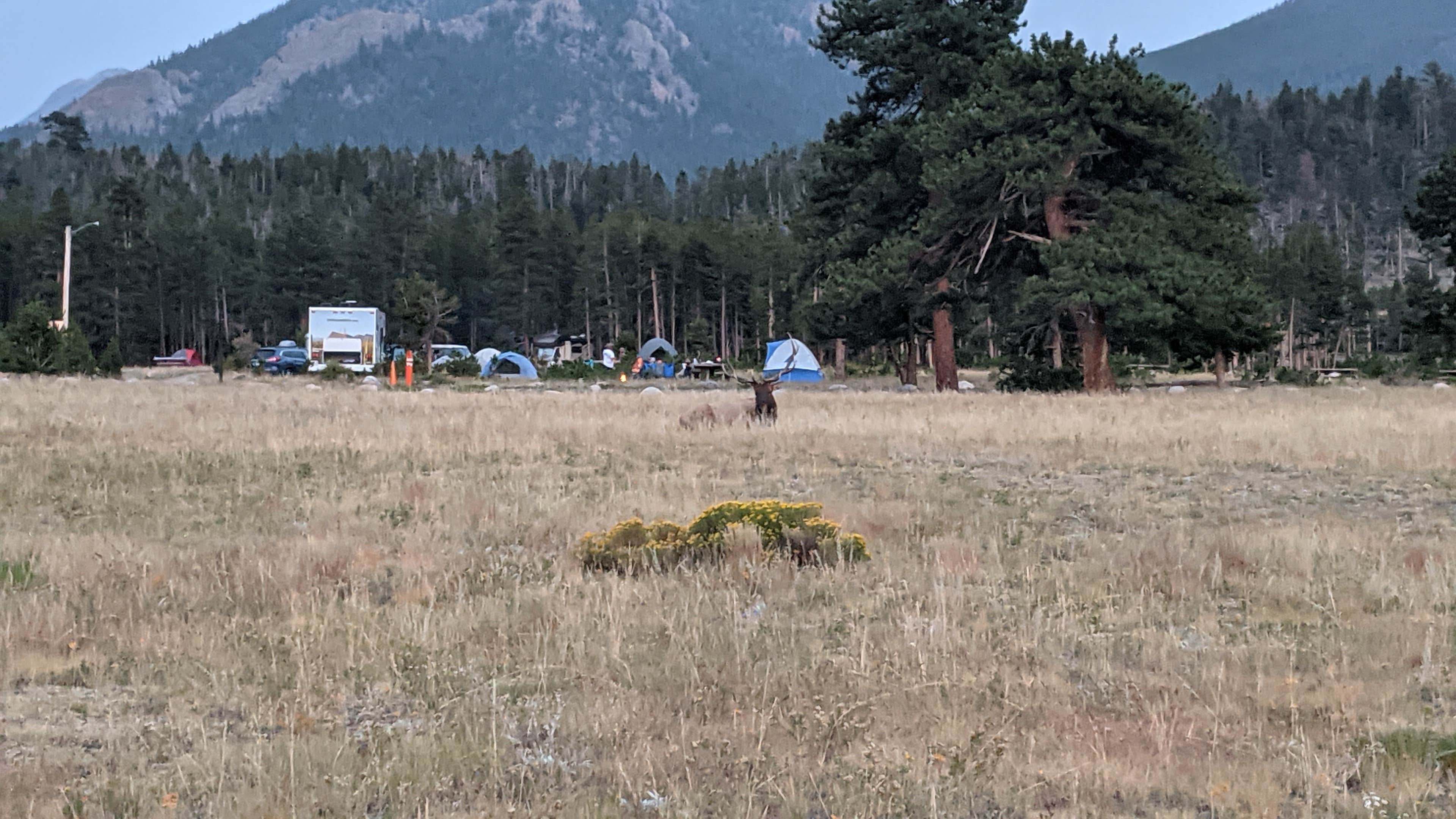 Ryan L.'s photo at Glacier Basin Campground — Rocky Mountain National Park near Estes Park, CO