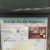 Review photo of Bisti / De-Na-Zin Wilderness Area by Devang S., September 7, 2021