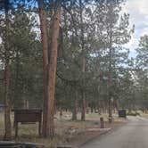 Review photo of Colorado Campground by Ryan L., September 7, 2021