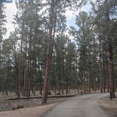 Review photo of Colorado Campground by Ryan L., September 7, 2021