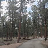 Review photo of Colorado Campground by Ryan L., September 7, 2021