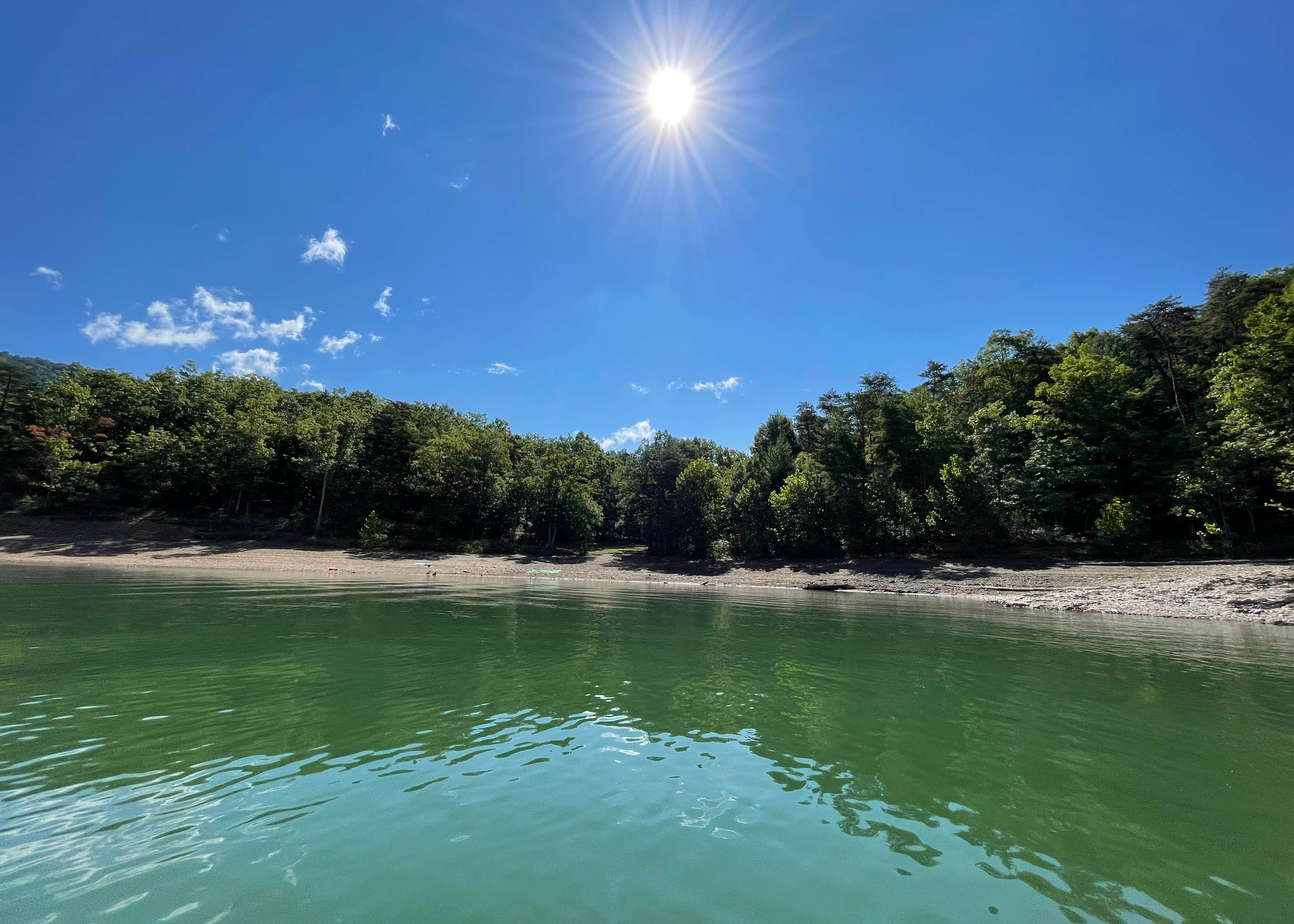 Greenwood Point Campground Camping The Dyrt