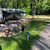 Review photo of Kalkaska RV Park & Campground by Tammey B., September 7, 2021