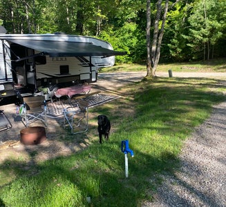 Camper-submitted photo from Kalkaska RV Park & Campground