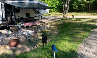 Camping near Ascension Pines: Kalkaska RV Park & Campground, Kalkaska, Michigan