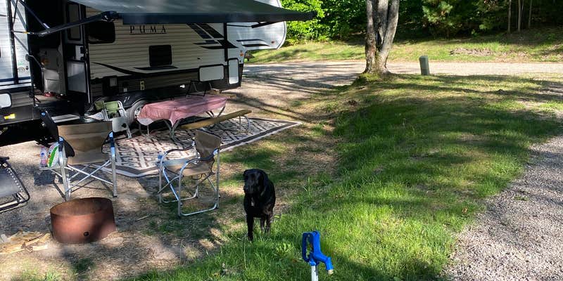 Camper submitted image from Kalkaska RV Park & Campground