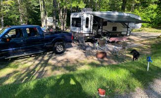 Tammey B.'s photo of rv camping at Kalkaska RV Park & Campground near Vanderbilt, MI