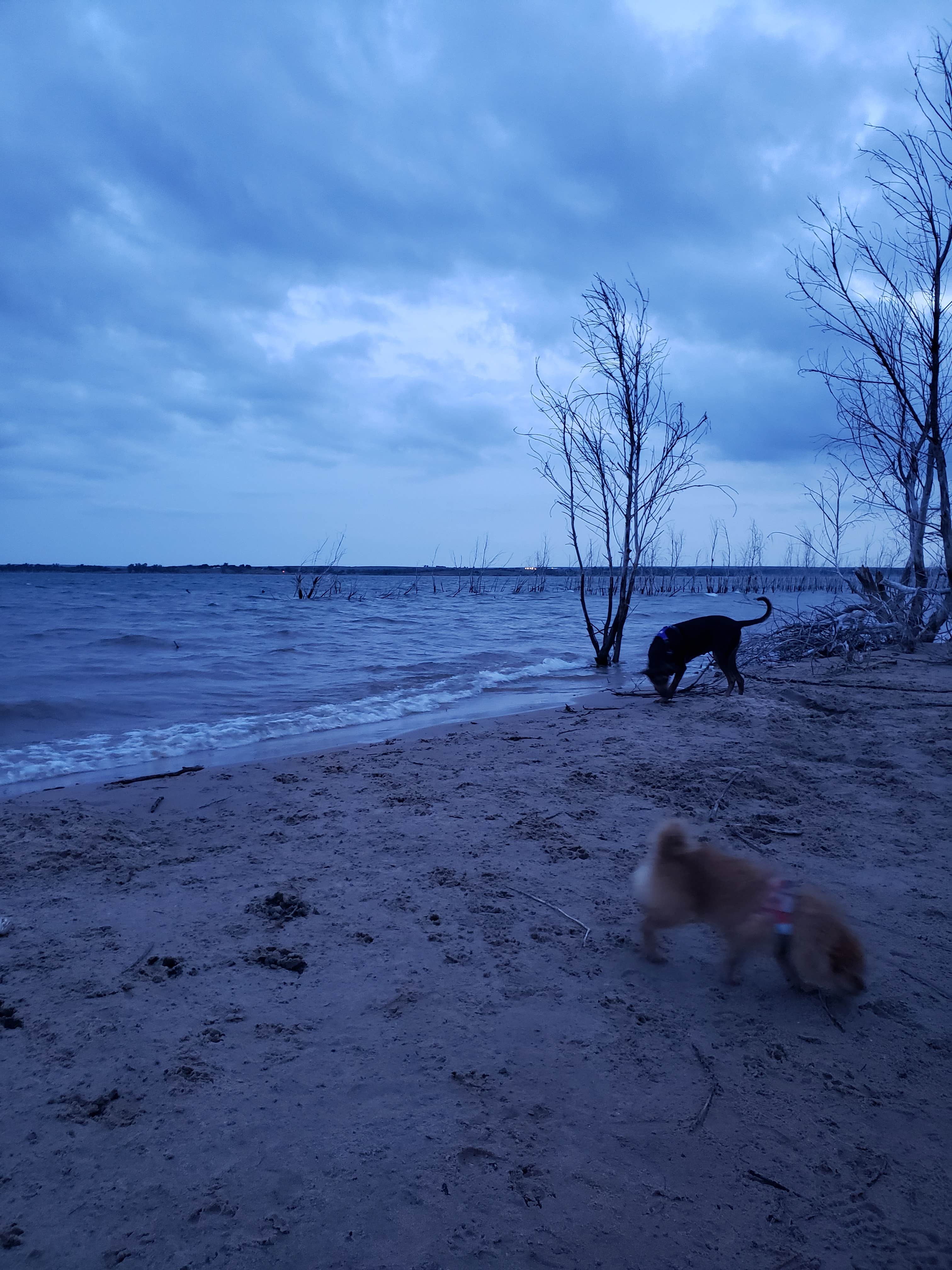 Meg M.'s photo of camping with pets at Foss State Park Campground in Oklahoma