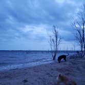 Review photo of Foss State Park Campground by Meg M., September 7, 2021