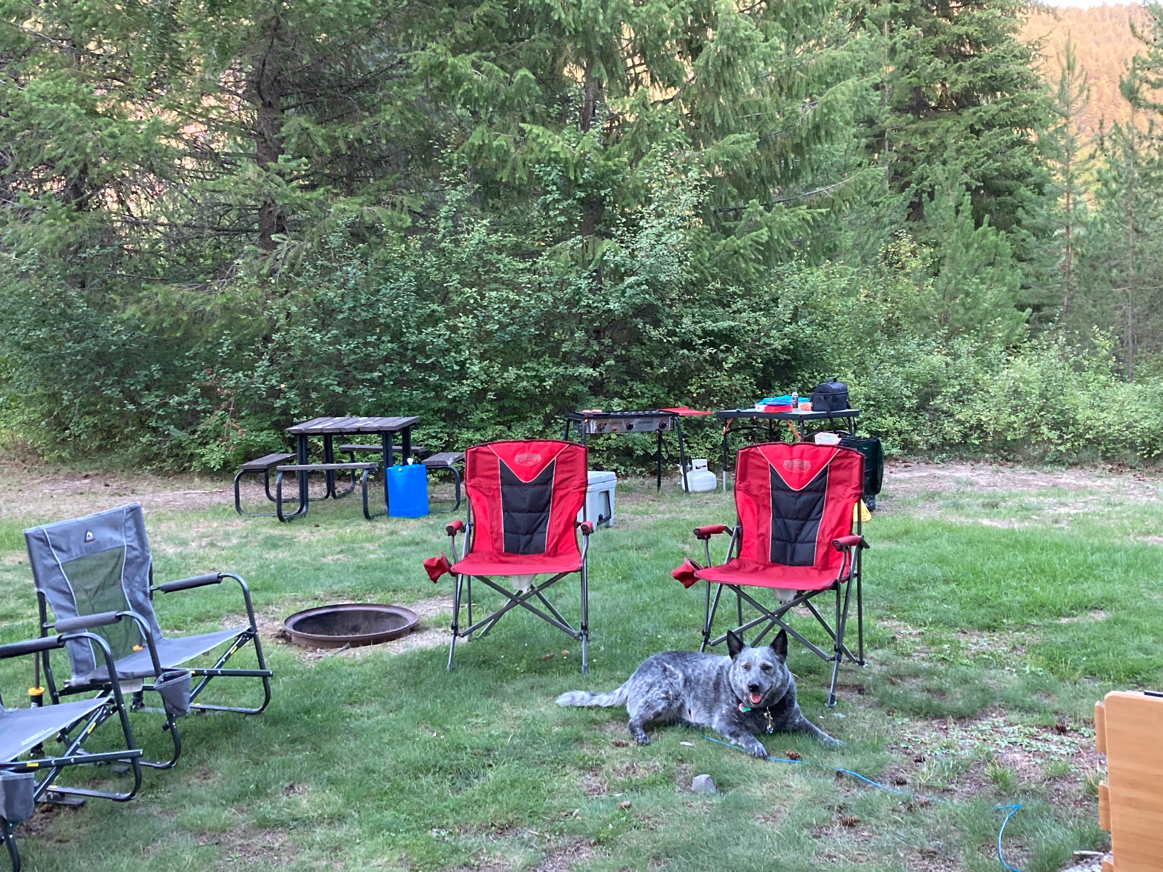 Cody M.'s photo of camping with pets at Nugget RV Resort near Plains, MT