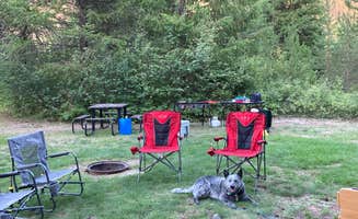 Cody M.'s photo of camping with pets at Nugget RV Resort near Thompson Falls, MT