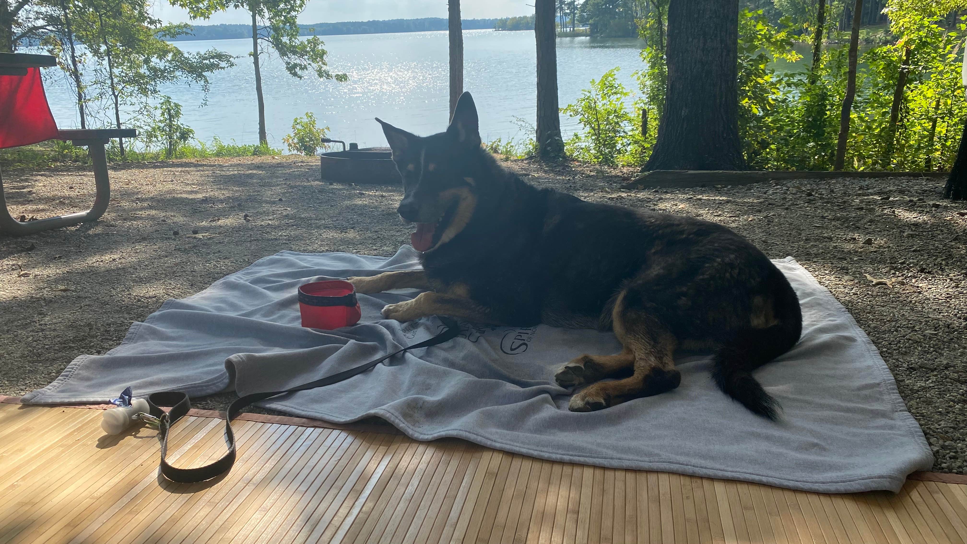 Doug's photo of camping with pets at Dames Ferry State Park Campground near Zebulon, GA