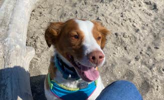 Marcia M.'s photo of camping with pets at Devil’s Lake State Recreation Area Campground near Otter Rock, OR