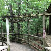 Review photo of Longleaf Campground — Congaree National Park by Michelle A., June 23, 2018