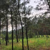 Review photo of Longleaf Campground — Congaree National Park by Michelle A., June 23, 2018