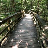 Review photo of Longleaf Campground — Congaree National Park by Michelle A., June 23, 2018