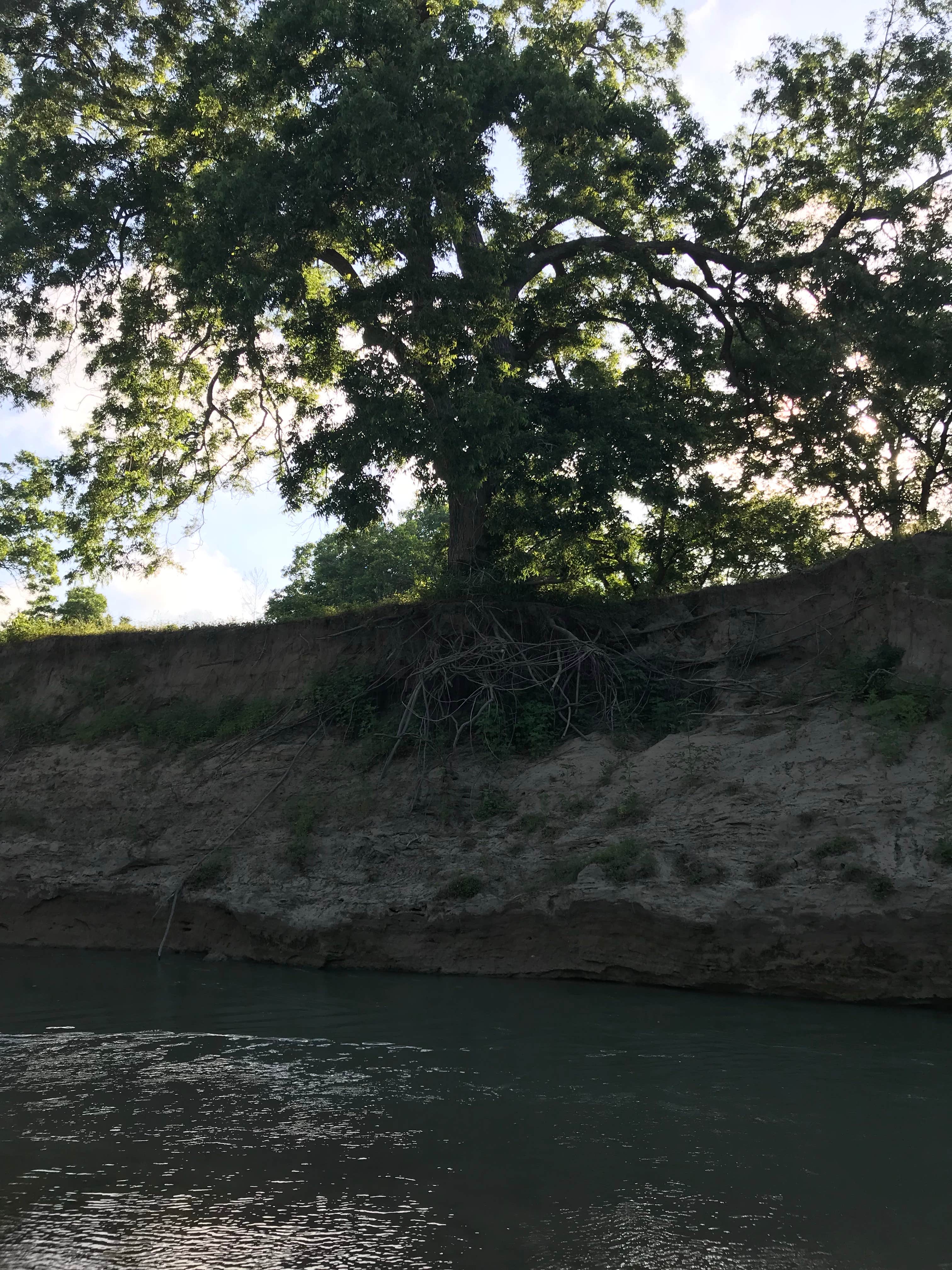 Camper-submitted photo at Riverbend RV Park near Hallettsville, TX