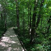 Review photo of Mammoth Cave Campground — Mammoth Cave National Park by Michelle A., June 24, 2018