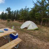 Review photo of Cedar Campground — Ludington State Park by Jess O., June 24, 2018