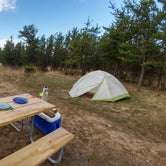 Review photo of Cedar Campground — Ludington State Park by Jess O., June 24, 2018
