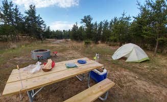 Jess O.'s photo at Cedar Campground — Ludington State Park near Manistee, MI