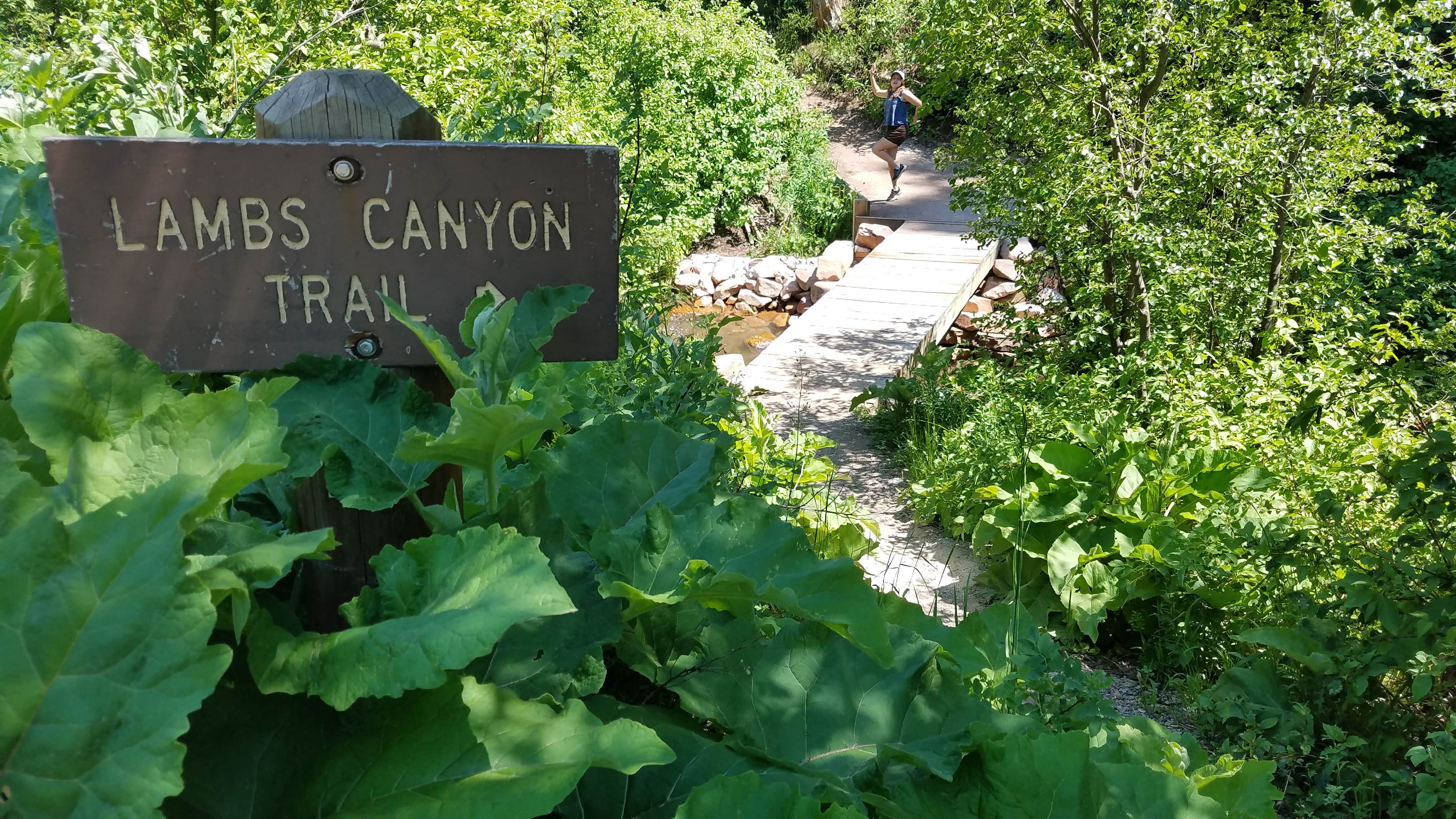 Camper submitted image from Millcreek Canyon Backcountry Camping and Yurts - 1