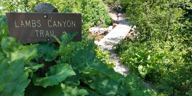 Camper submitted image from Millcreek Canyon Backcountry Camping and Yurts