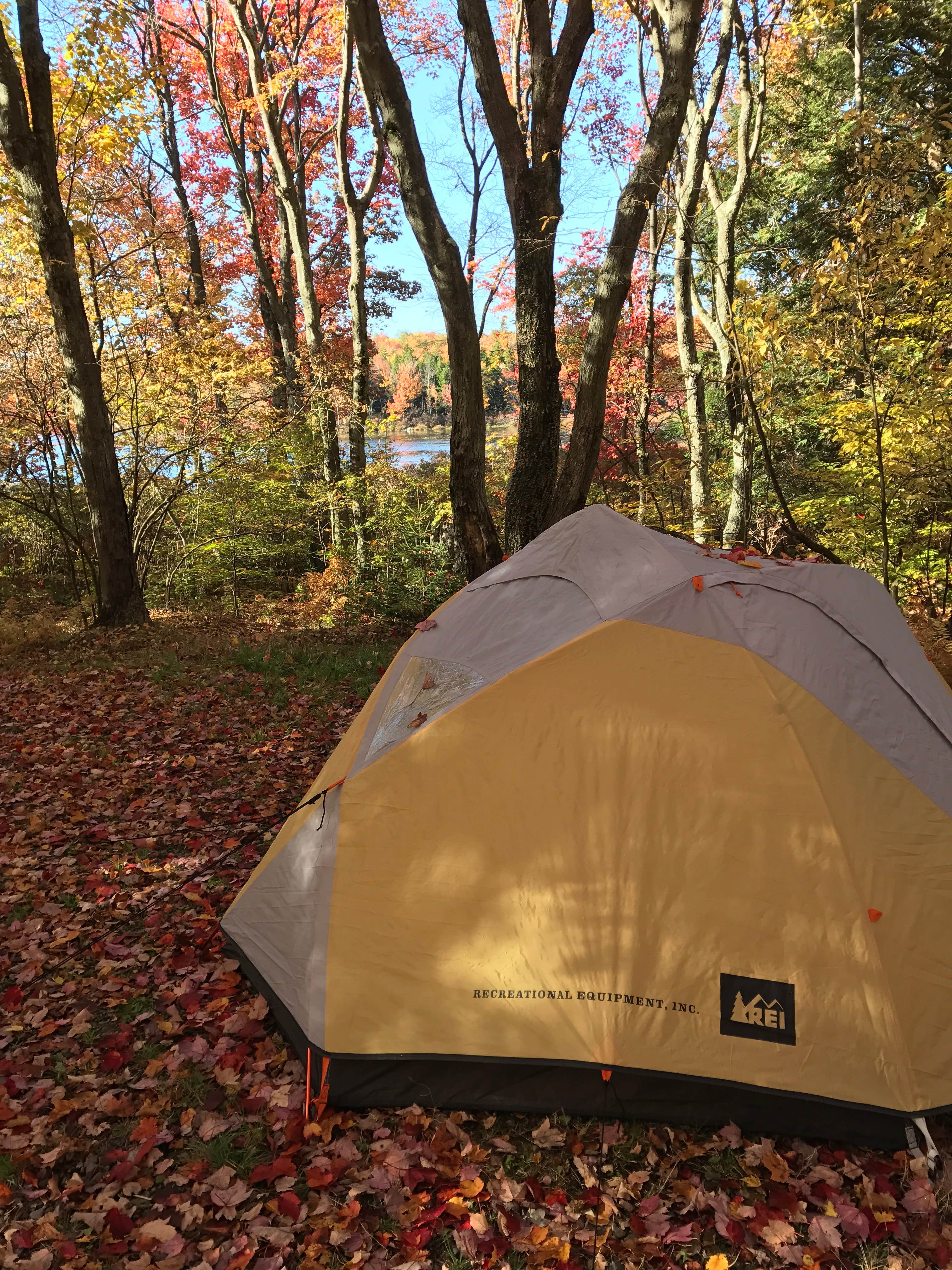 Miranda H.'s photo at Tobyhanna State Park Campground near Scranton, PA