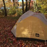 Review photo of Tobyhanna State Park Campground by Miranda H., June 24, 2018