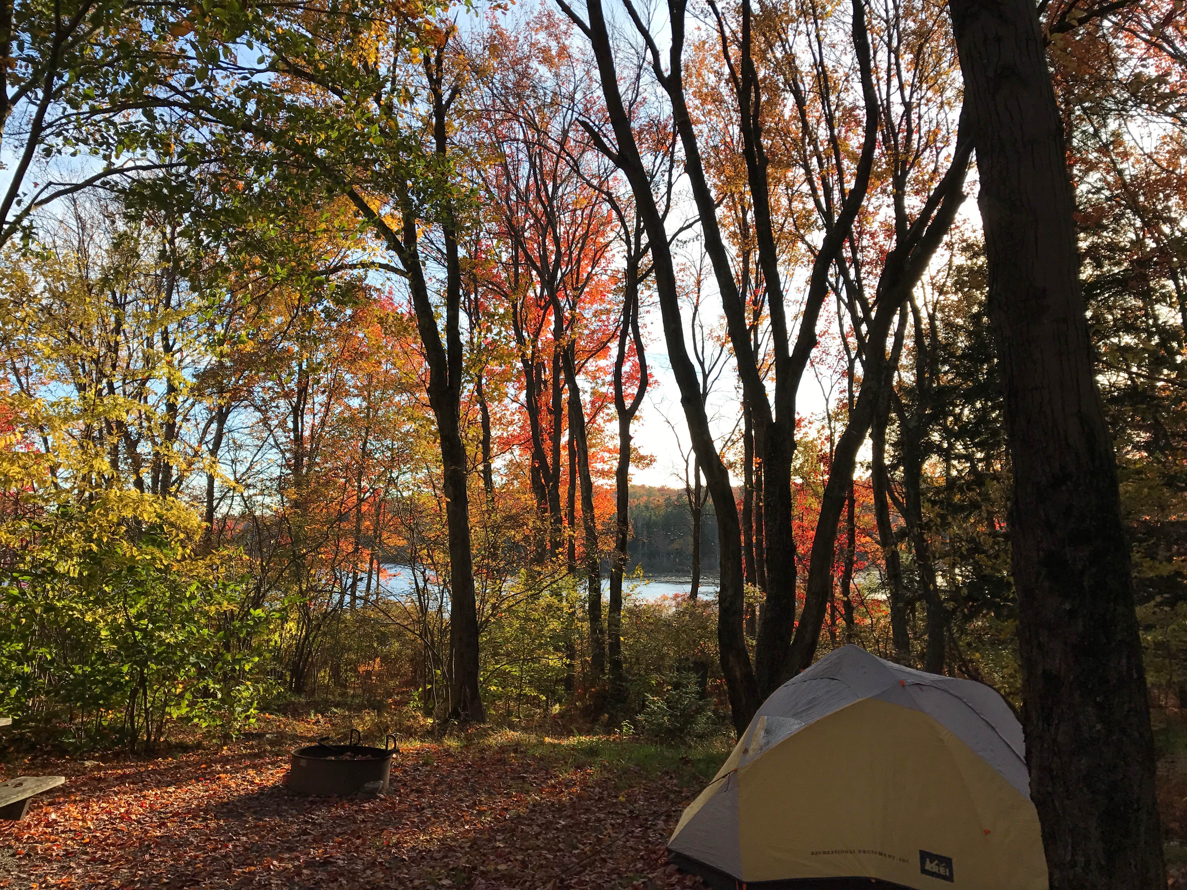 Miranda H.'s photo at Tobyhanna State Park Campground near Long Pond, PA