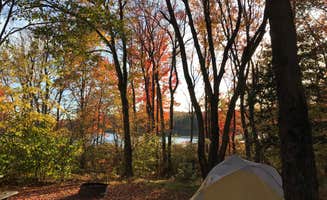 Miranda H.'s photo at Tobyhanna State Park Campground near Greentown, PA