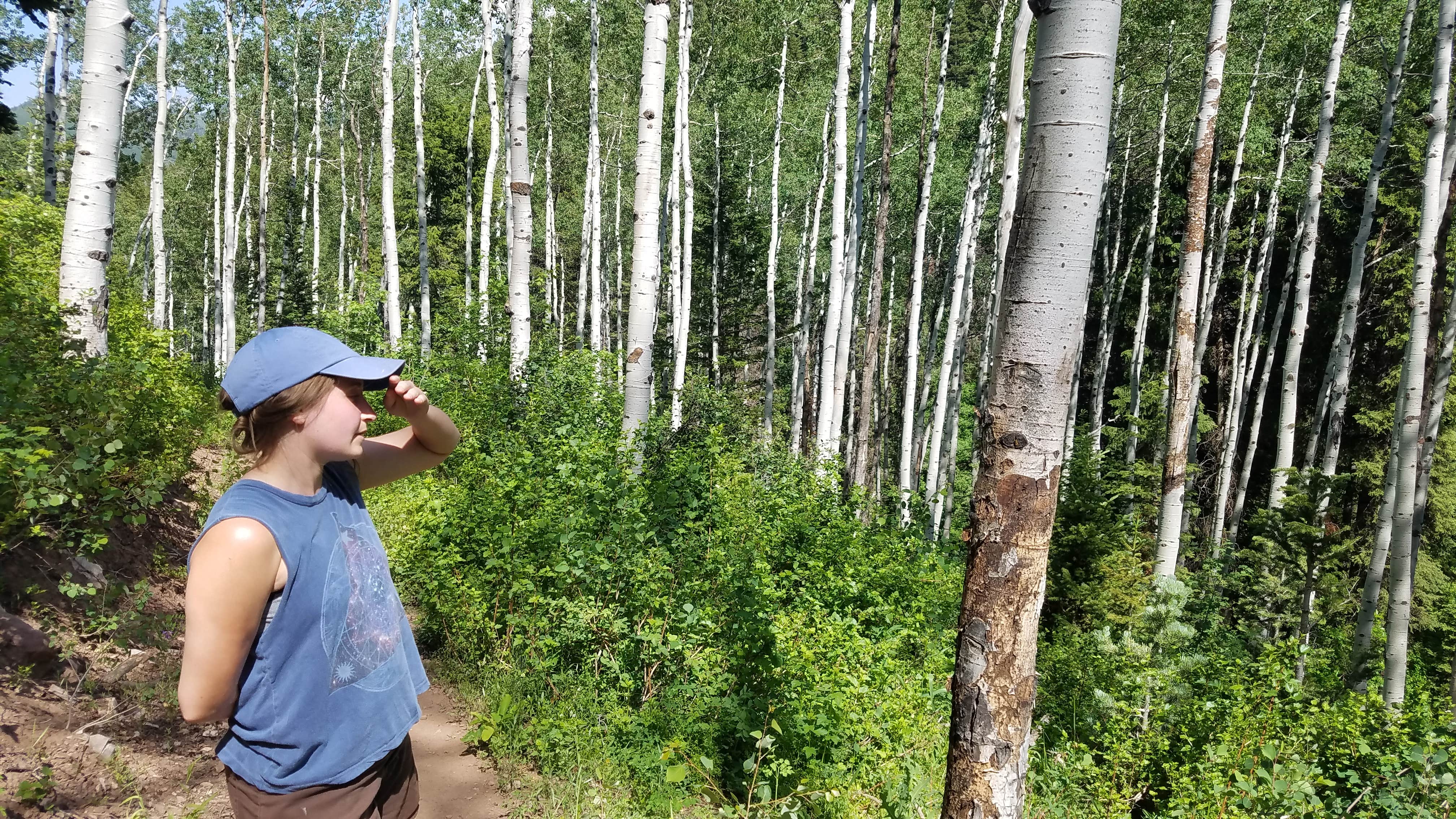 Camper submitted image from Millcreek Canyon Backcountry Camping and Yurts - 4