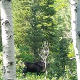 Review photo of Millcreek Canyon Backcountry Camping and Yurts by Alan B., June 24, 2018