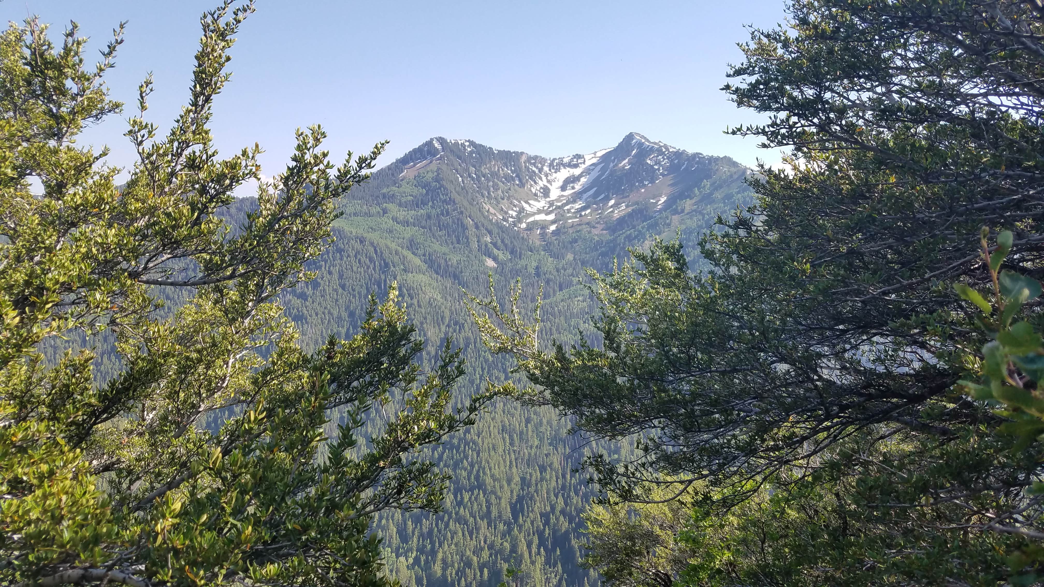 Camper-submitted photo at Millcreek Canyon Backcountry Camping and Yurts near Murray, UT