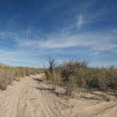Review photo of Big Bend of the Colorado State Recreation Area by Jess O., June 24, 2018