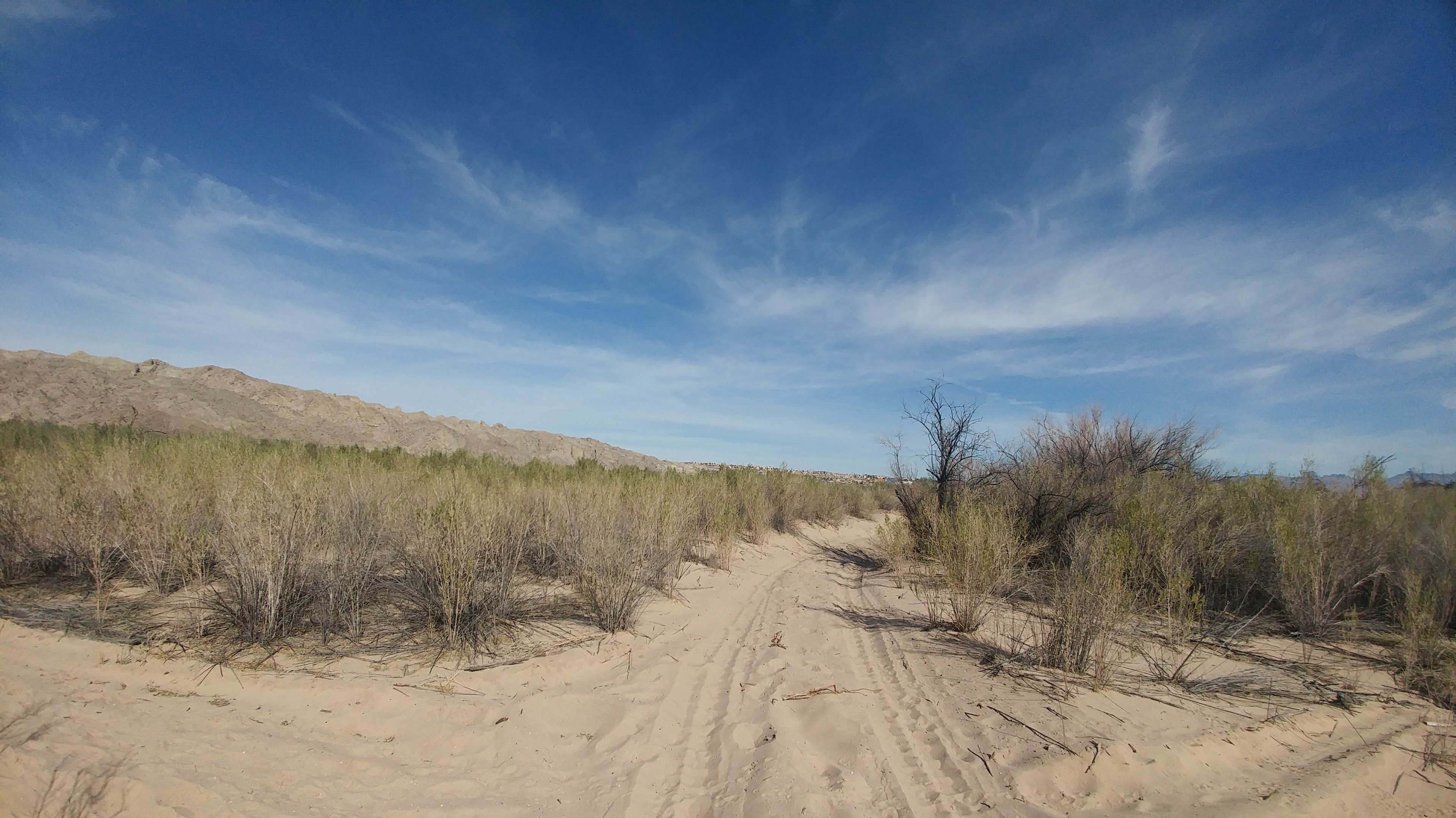 Camper submitted image from Big Bend of the Colorado State Recreation Area - 3