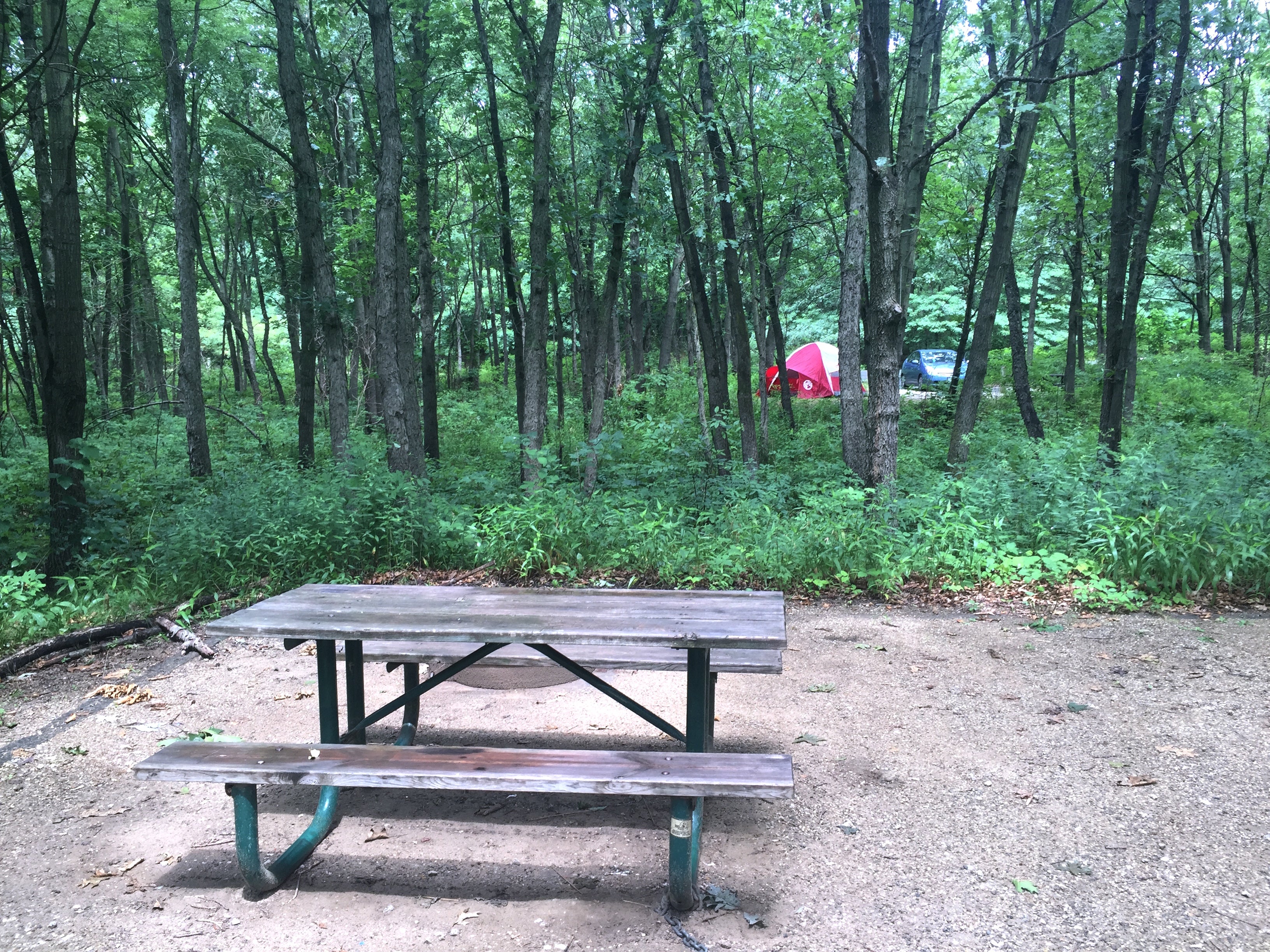 Camper submitted image from Dunewood Campground — Indiana Dunes National Park - 4
