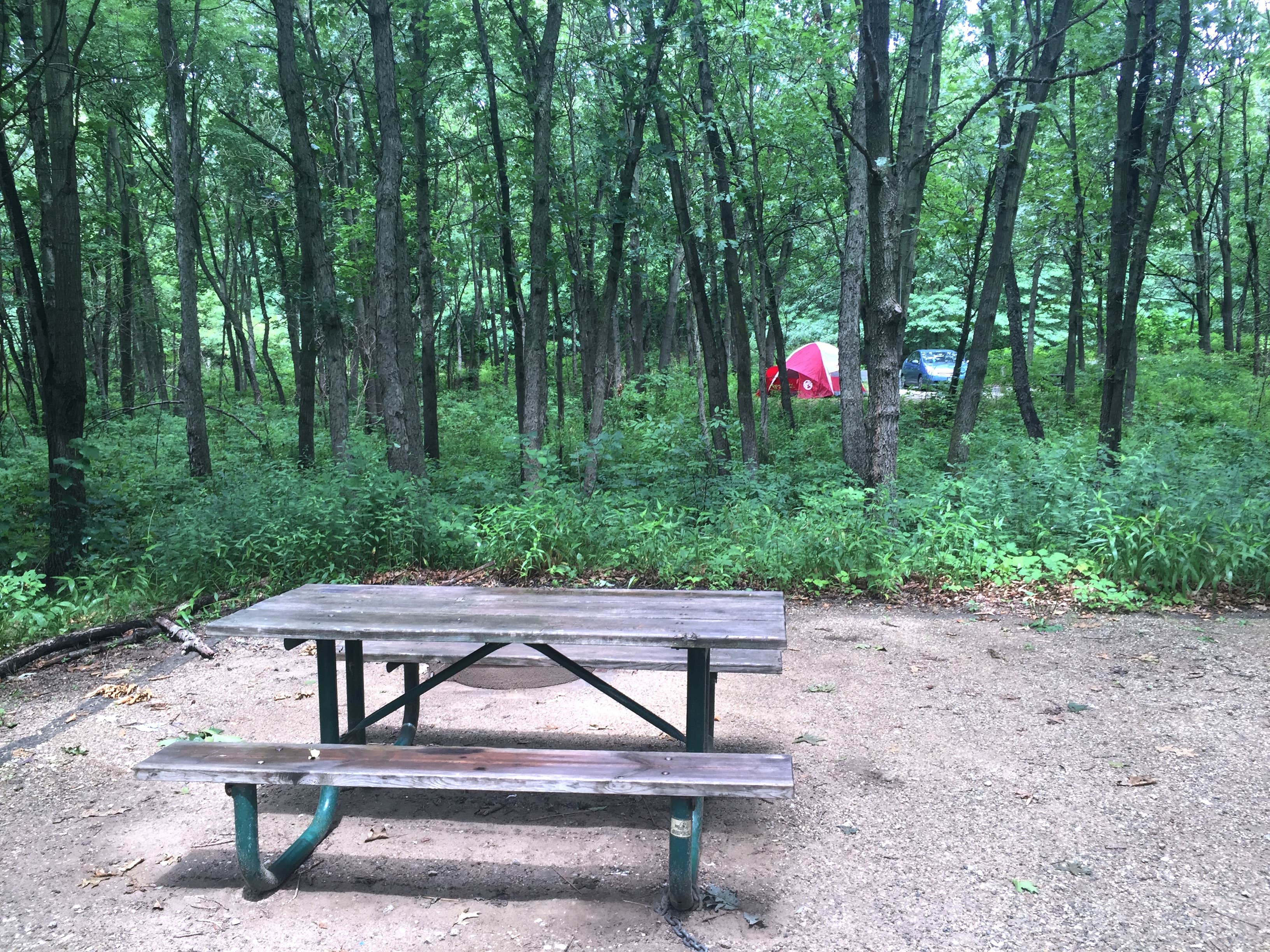 Camper submitted image from Dunewood Campground — Indiana Dunes National Park - 4