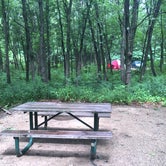Review photo of Dunewood Campground — Indiana Dunes National Park by Jessica L., July 19, 2016