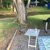 Review photo of Misty Mountain Camp Resort by Scott C., June 24, 2018
