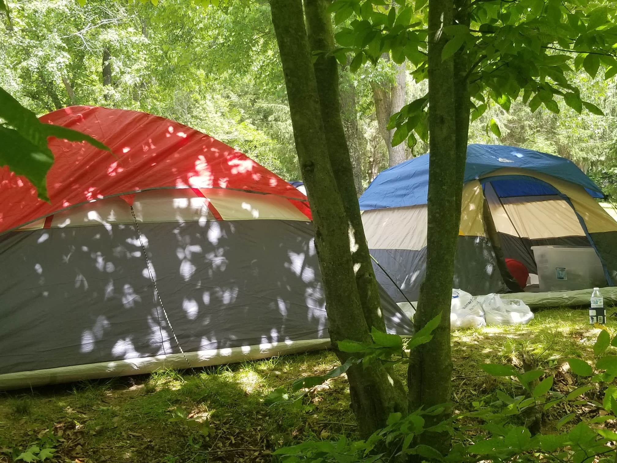 Camper submitted image from Beaverkill Campground - 3